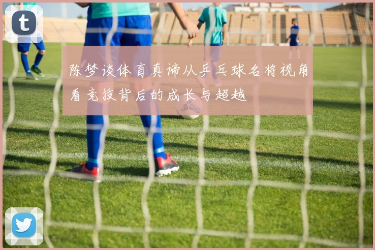 陈梦谈体育真谛从乒乓球名将视角看竞技背后的成长与超越