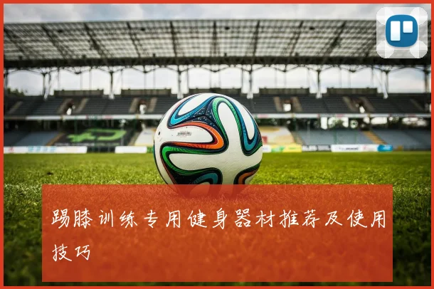 踢膝训练专用健身器材推荐及使用技巧